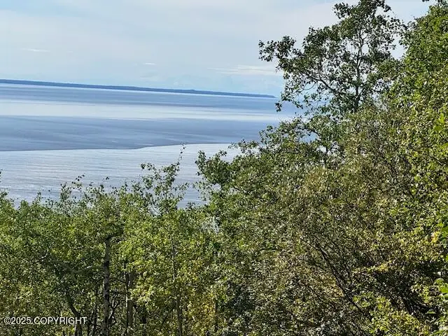 000 Potter View Circle, Anchorage, AK 99516 - Image #2