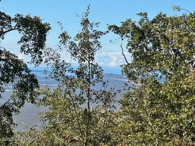 000 Potter View Circle, Anchorage, AK 99516 - Image #3