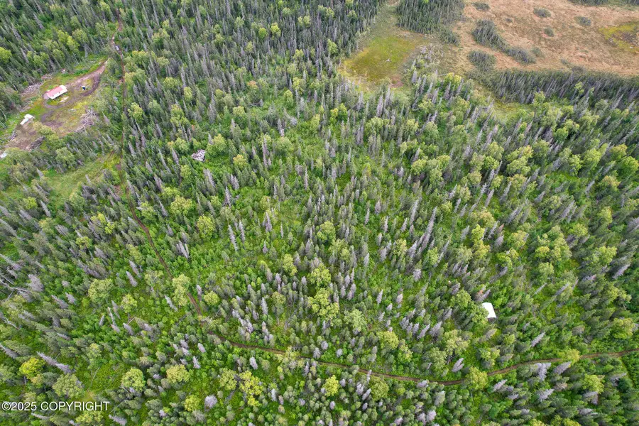 37403 Golden Rod Loop, Point Possession, AK 99635 - Image #2