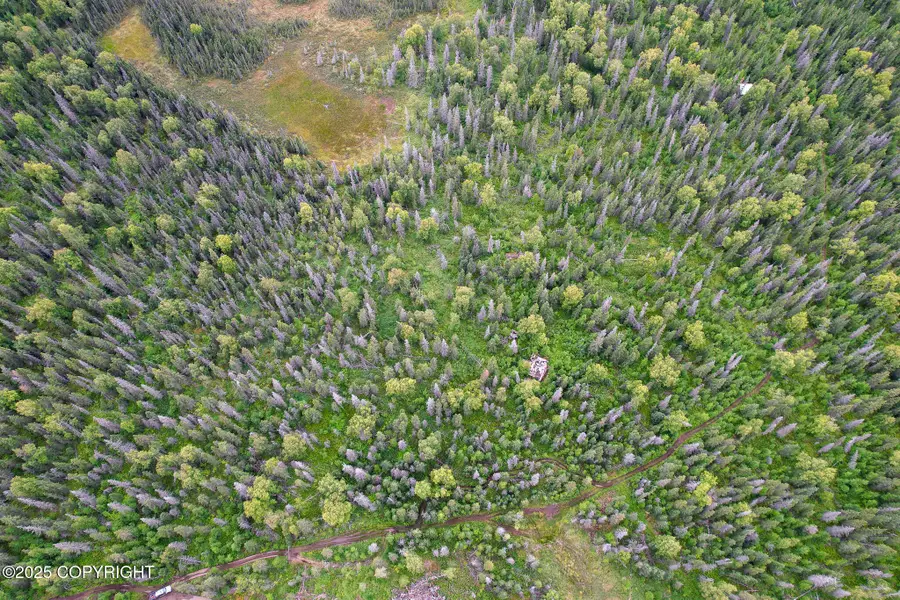37403 Golden Rod Loop, Point Possession, AK 99635 - Image #3