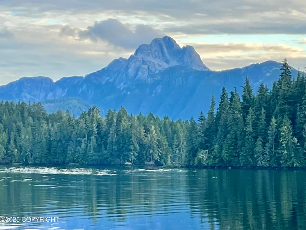 L3B2 Port Protection, Port Protection, AK 99000 - Image #1