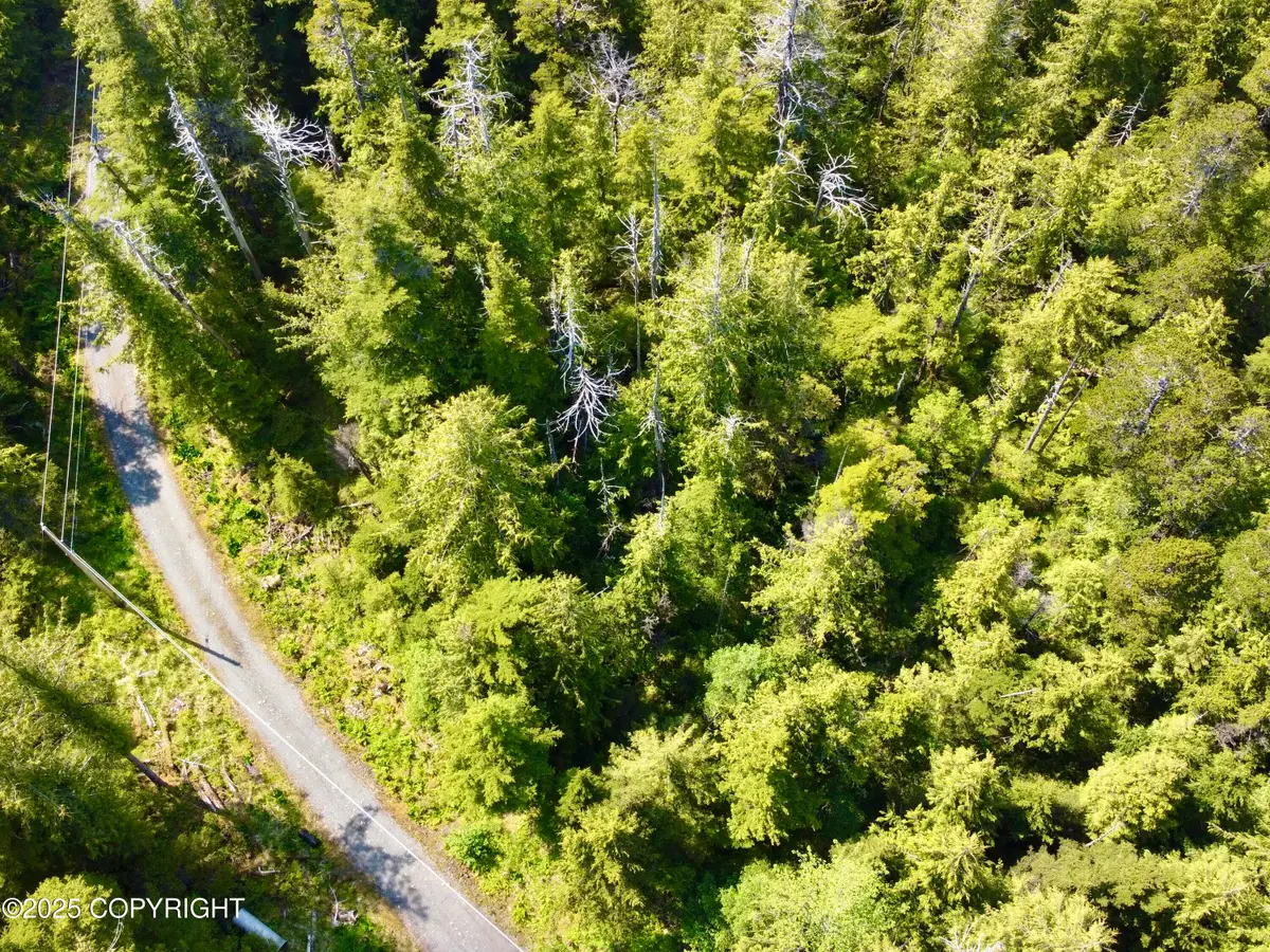 L5 Bowhead Loop, Coffman Cove, AK 99918 - Image #1