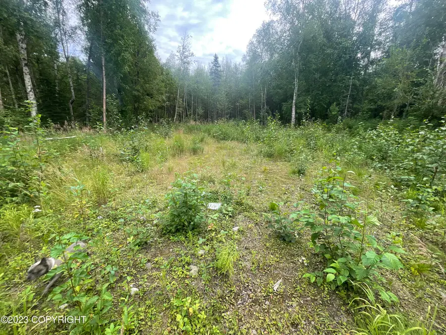 6860 E Marge Circle, Wasilla, AK 99654 - Image #3