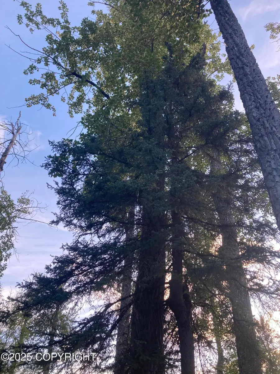 13046 E Wycoff Drive, Palmer, AK 99645 - Image #2