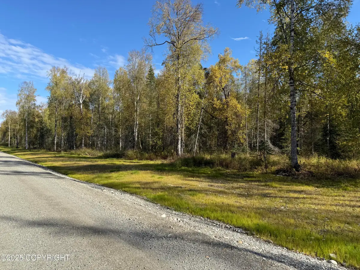21387 E Quarah Lake Avenue, Talkeetna, AK 99676 - Image #1