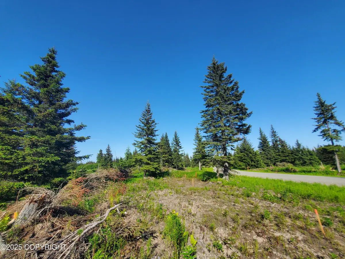 17573 Chefornak Street, Happy Valley, AK 99556 - Image #1