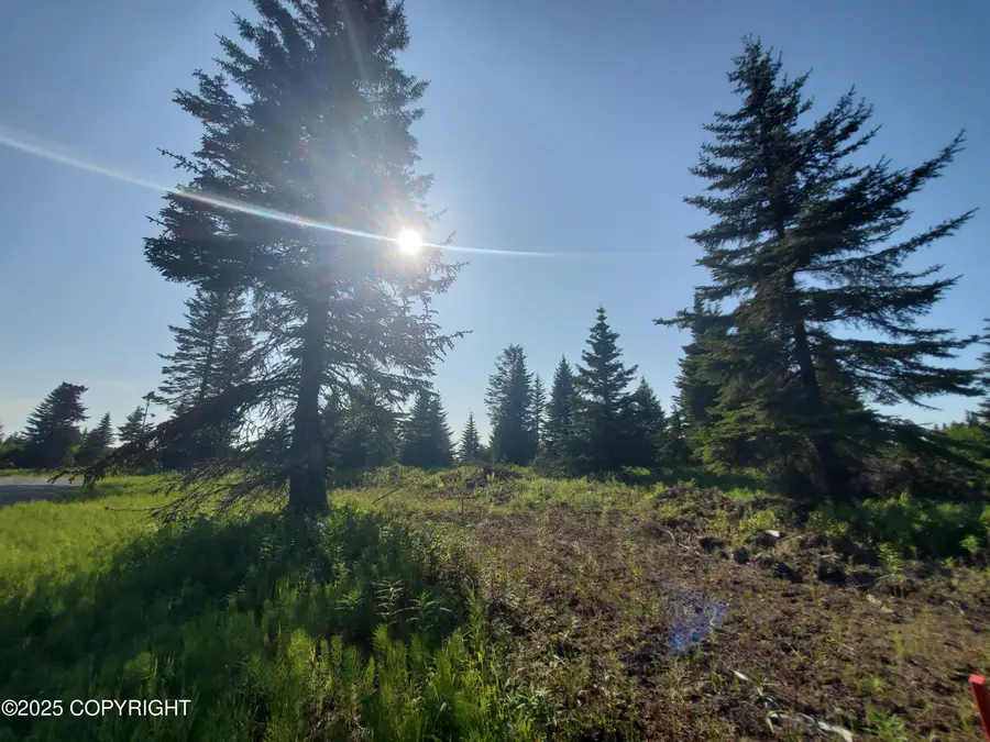 17573 Chefornak Street, Happy Valley, AK 99556 - Image #2