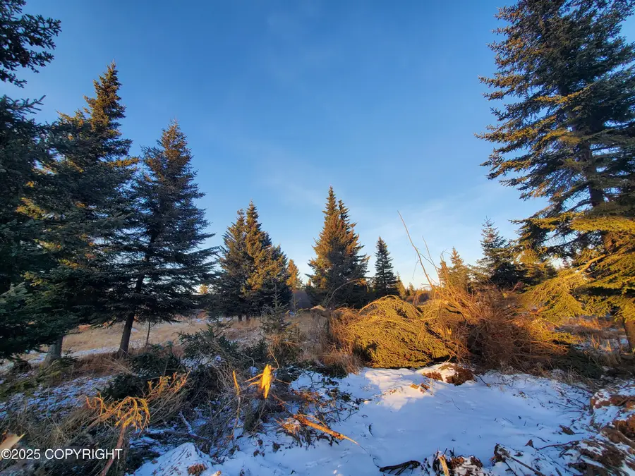 17573 Chefornak Street, Happy Valley, AK 99556 - Image #3