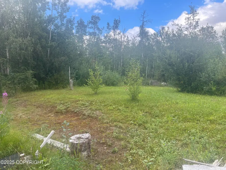 19708 E Montana Creek Road, Talkeetna, AK 99676 - Image #3