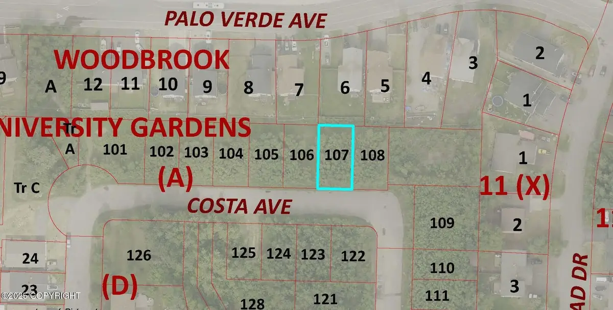 L107 Costa Avenue, Fairbanks, AK 99709 - Image #1