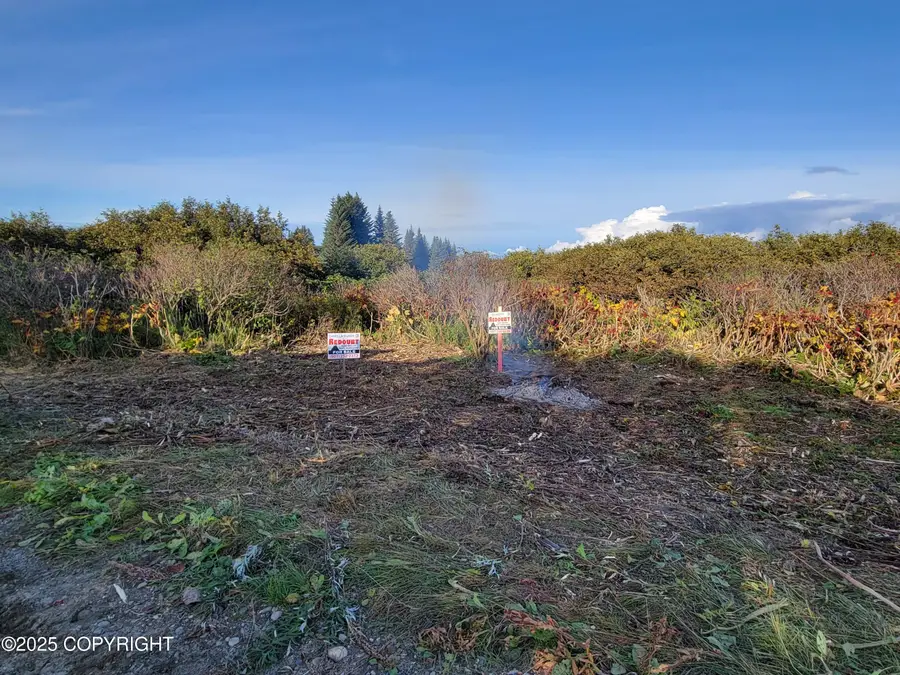 17338 Tidal Knoll Road, Ninilchik, AK 99639 - Image #3