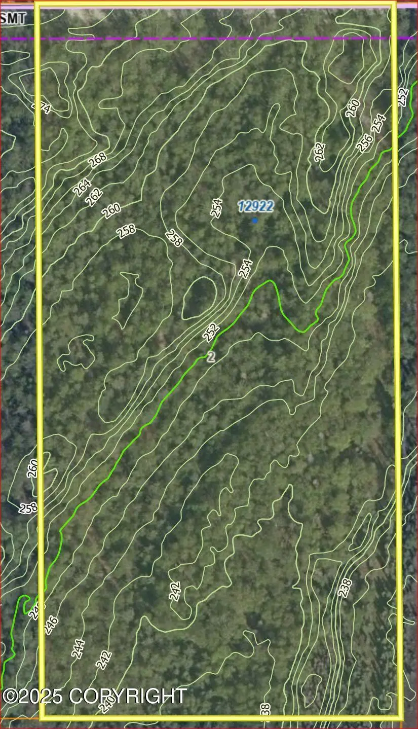 12922 W Delroy Road, Houston, AK 99694 - Image #3