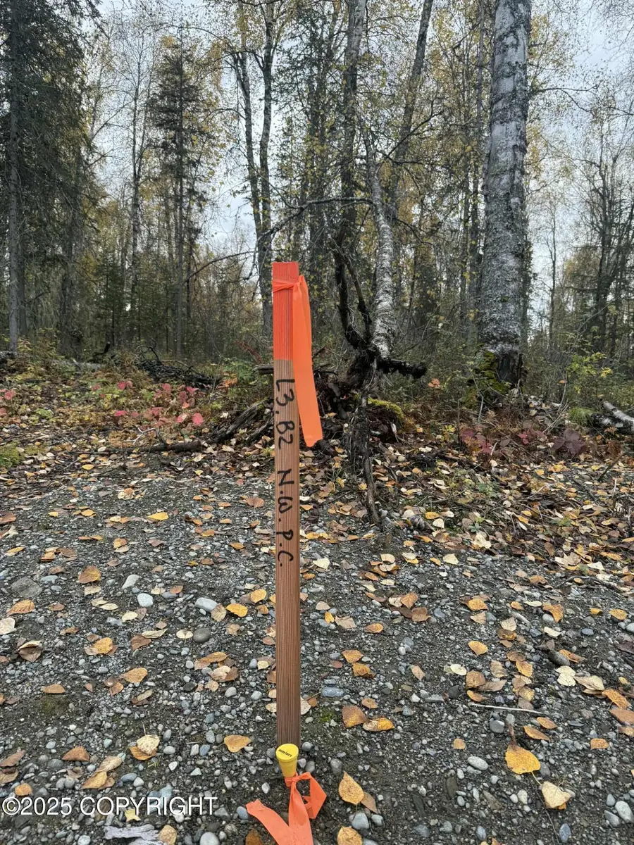 L3 S Lupine Circle, Talkeetna, AK 99676 - Image #2