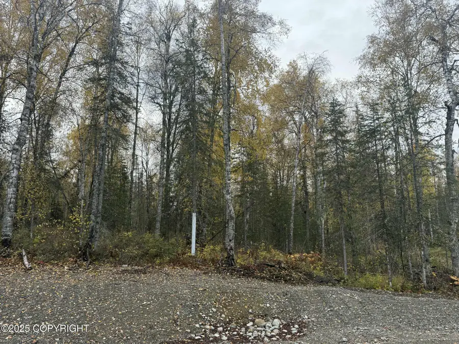 L3 S Lupine Circle, Talkeetna, AK 99676 - Image #3