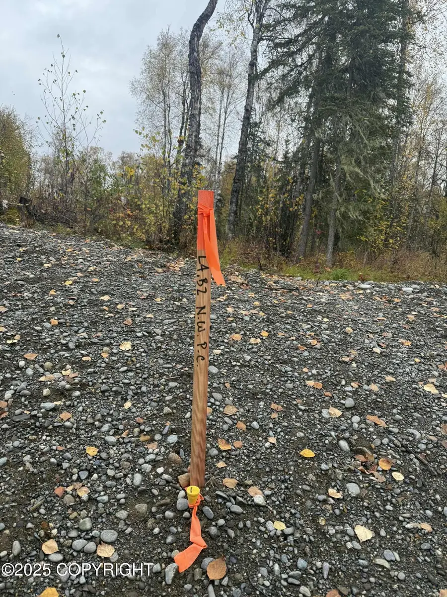 L4 S Lupine Circle, Talkeetna, AK 99676 - Image #2