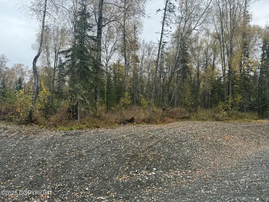 L4 S Lupine Circle, Talkeetna, AK 99676 - Image #3