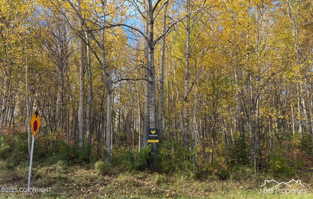 L6A S Baroness Lane, Palmer, AK 99645 - Image #1