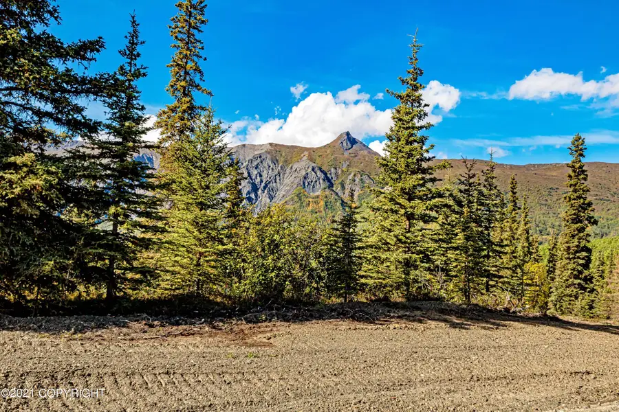 33739 W Arnica Avenue, Chickaloon, AK 99674 - Image #3