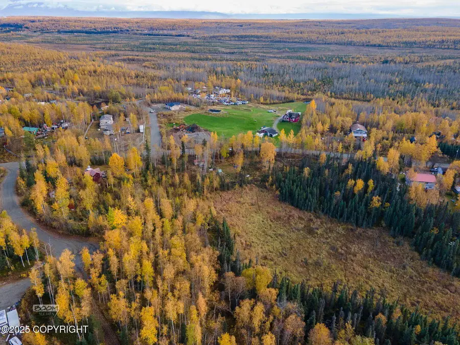 11055 W Wasey Way, Big Lake, AK 99652 - Image #2