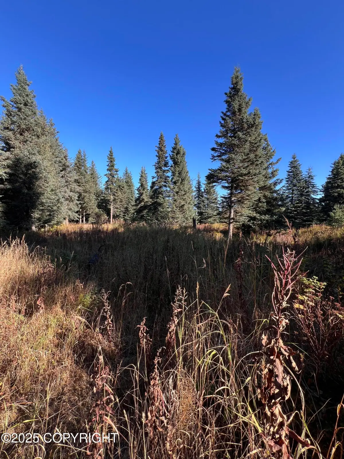 L6 Shegota Loop, Ninilchik, AK 99639 - Image #1