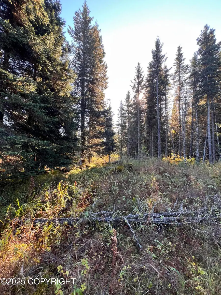 L6 Shegota Loop, Ninilchik, AK 99639 - Image #2