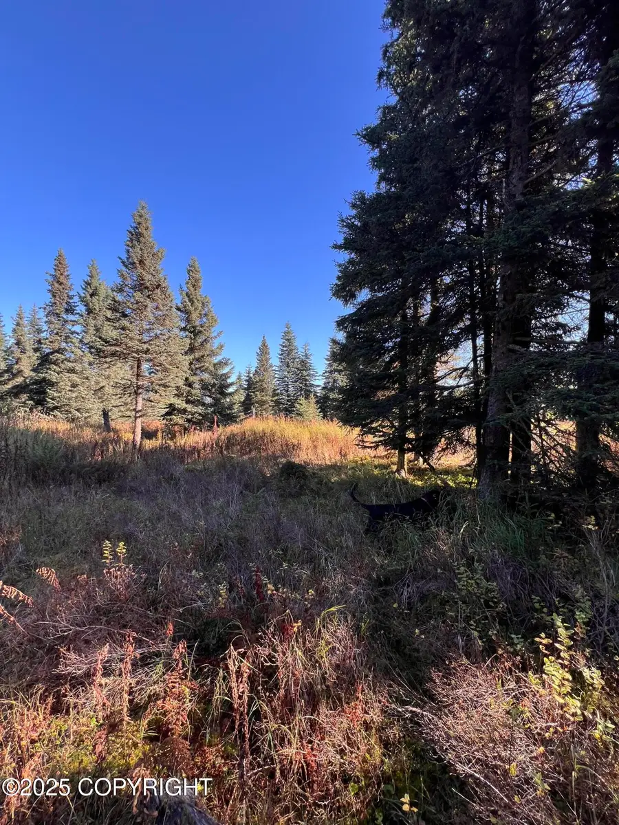 L7 Shegota Loop, Ninilchik, AK 99639 - Image #3