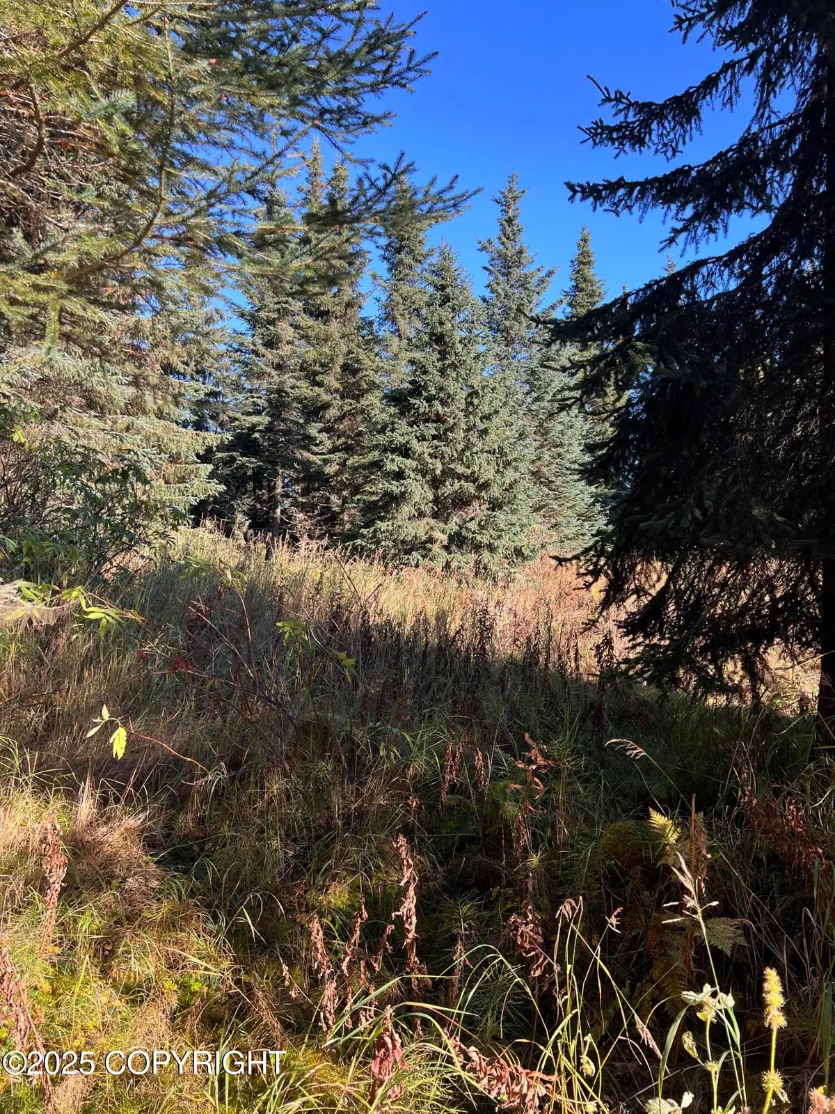 L9 Shegota Loop, Ninilchik, AK 99639 - Image #1