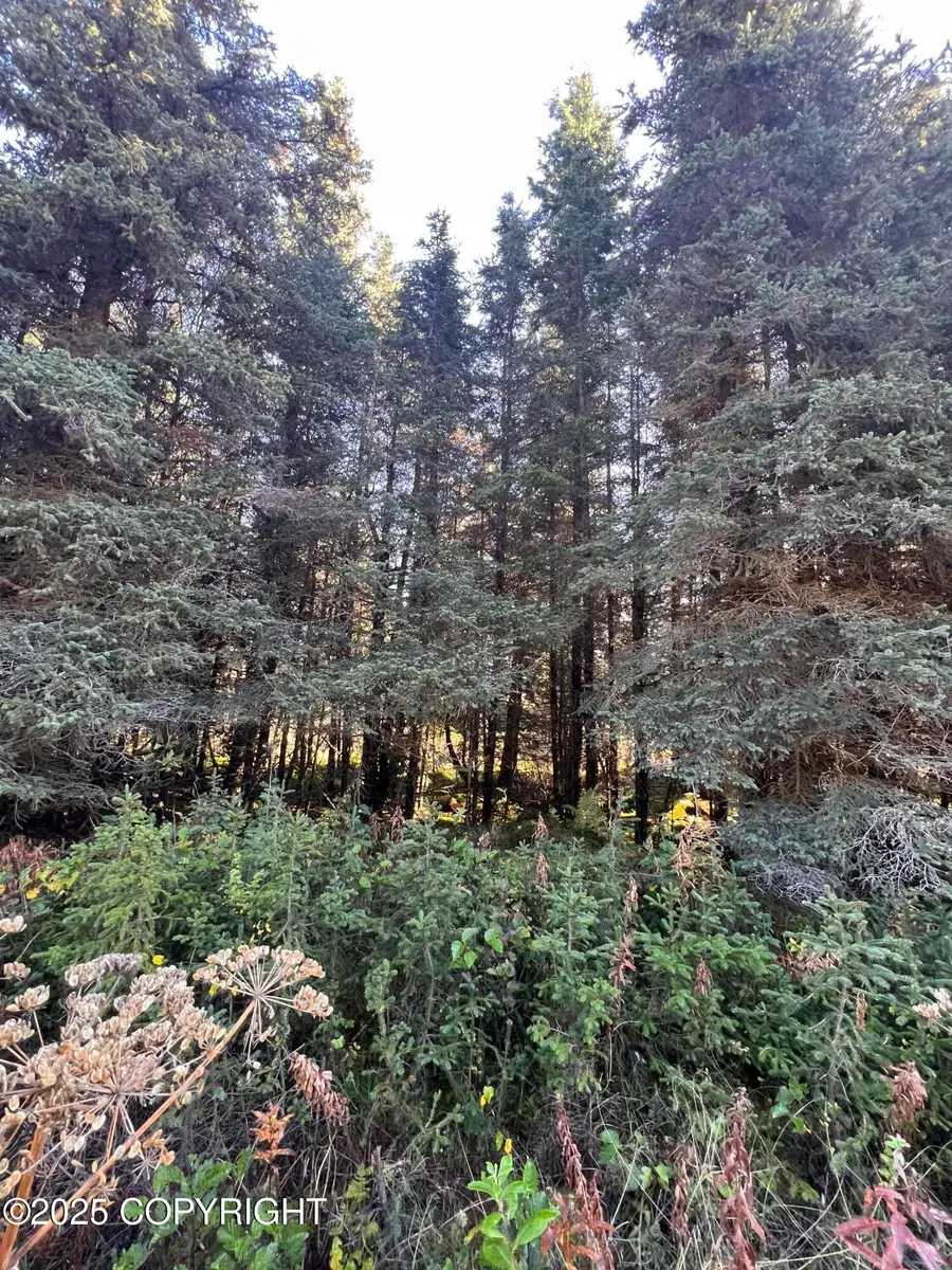 L9 Shegota Loop, Ninilchik, AK 99639 - Image #2