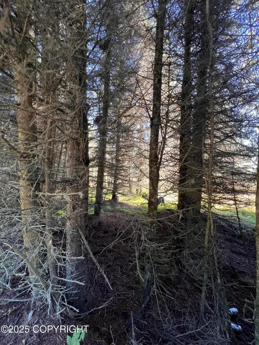 L10 Shegota Loop, Ninilchik, AK 99639 - Image #2