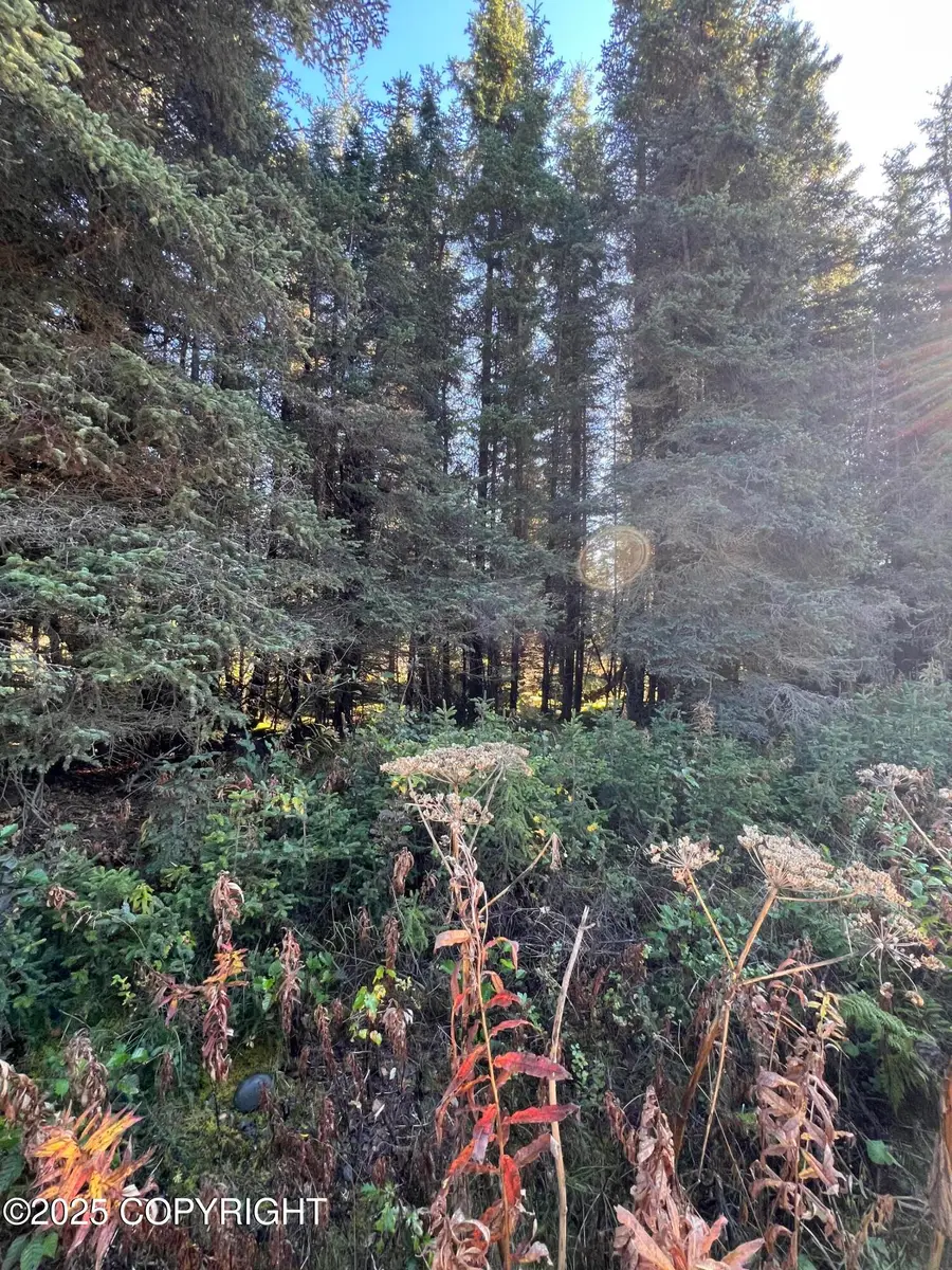 L5-10 Shegota Loop, Ninilchik, AK 99639 - Image #2