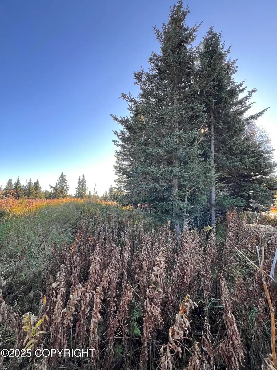 L5-10 Shegota Loop, Ninilchik, AK 99639 - Image #3