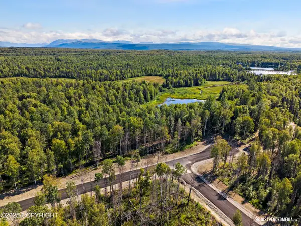 45269 S Upwind Circle, Willow, AK 99688