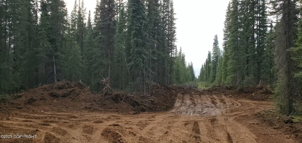 L4B4 Anna Marie Avenue, Tok, AK 99780 - Image #1