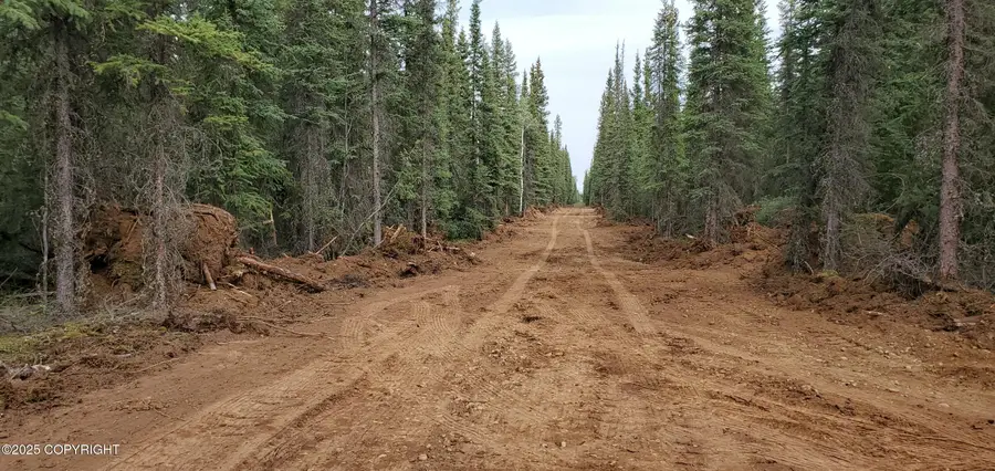 L4B4 Anna Marie Avenue, Tok, AK 99780 - Image #2