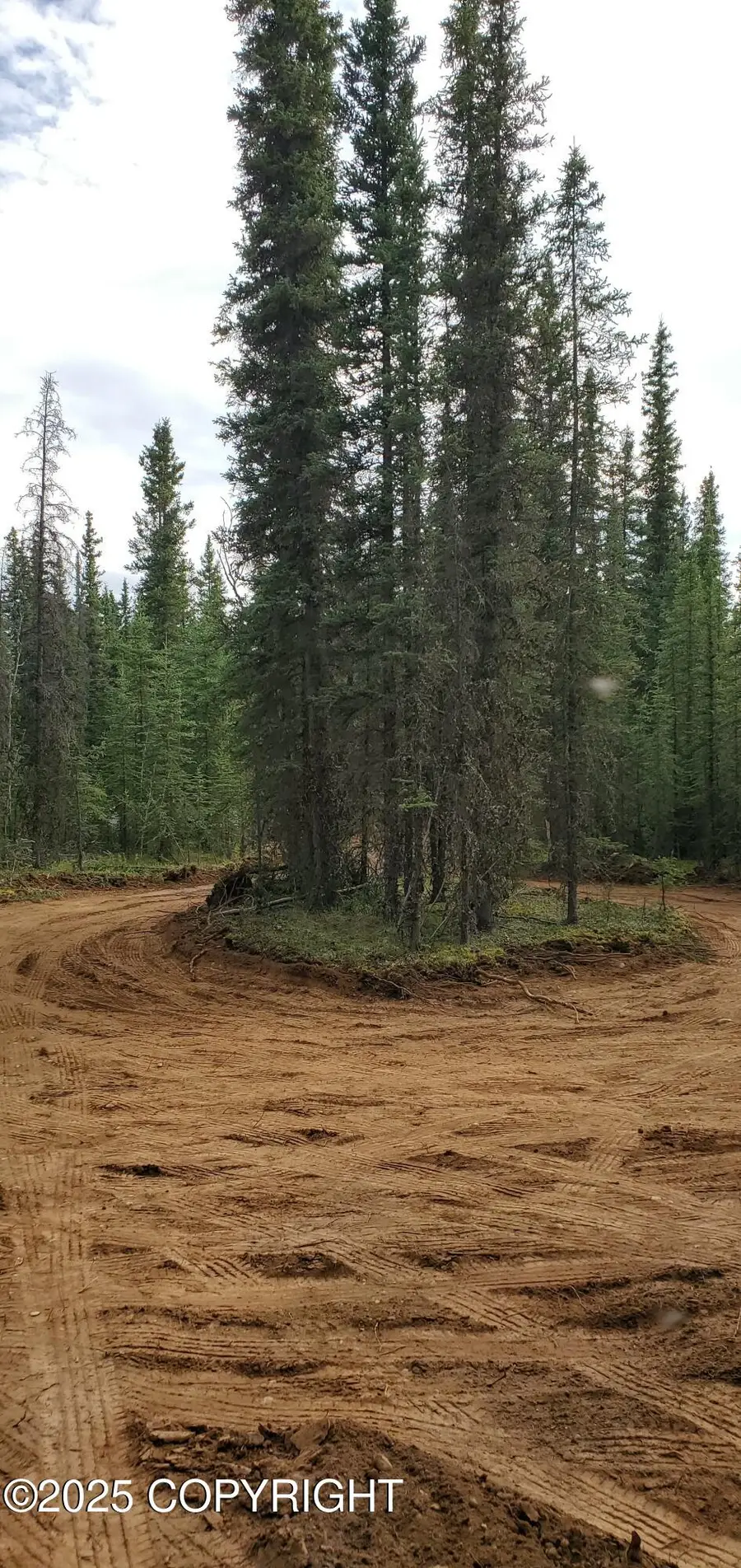 L4B4 Anna Marie Avenue, Tok, AK 99780 - Image #3