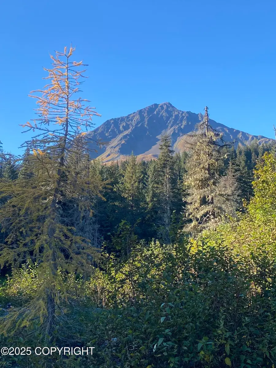 31940 Maxwell Court, Seward, AK 99664 - Image #2