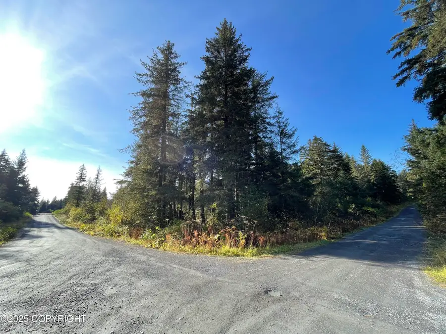 L5A-3 Maximilian Drive, Seward, AK 99664 - Image #2