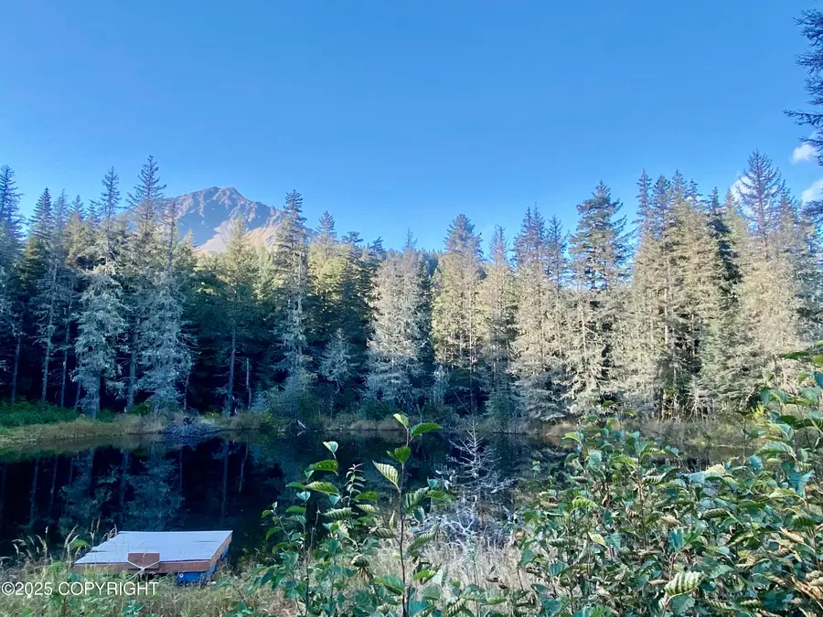 L5A-3 Maximilian Drive, Seward, AK 99664 - Image #3