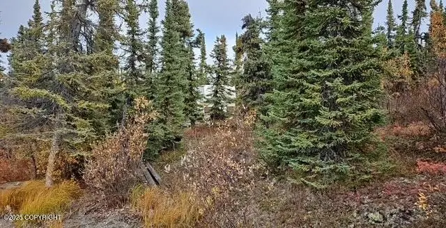 L11A & 11B No Road Lake Louise Road, Glennallen, AK 99588 - Image #3