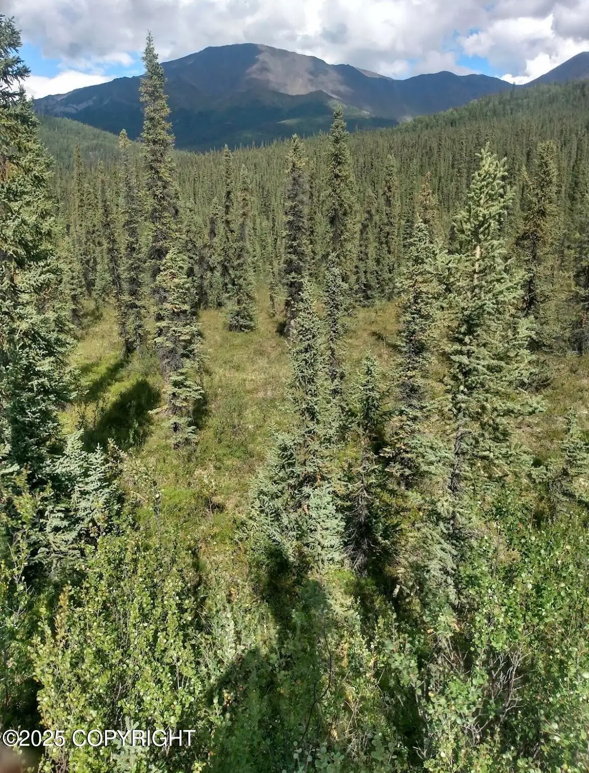 000 Remote, Slana, AK 99586 - Image #1