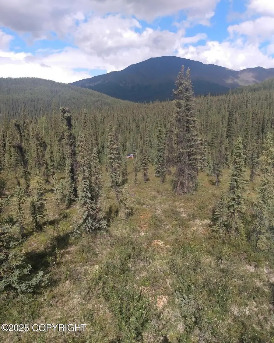 000 Remote, Slana, AK 99586 - Image #2