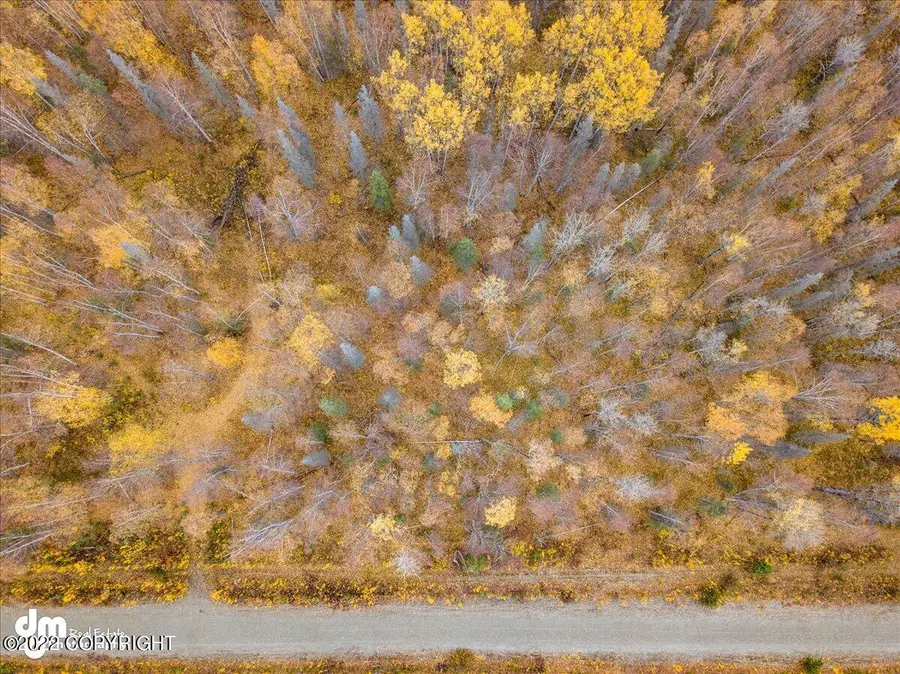 10651 N Little Lonely Lake Road, Willow, AK 99688 - Image #3