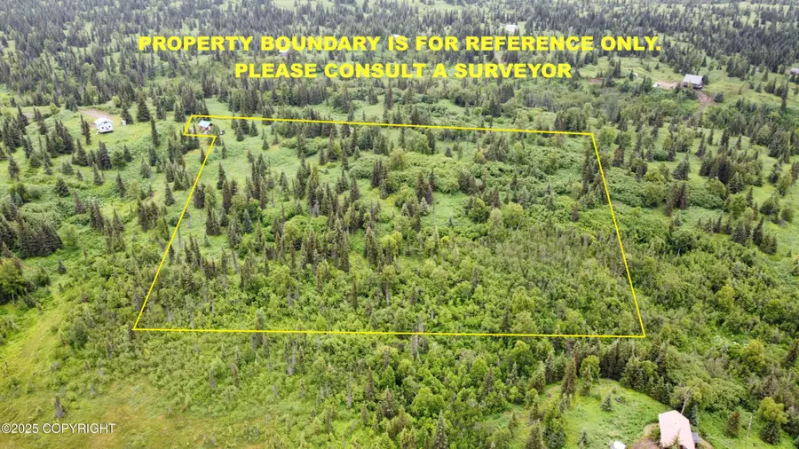 000 Shelford Avenue, Ninilchik, AK 99639 - Image #3