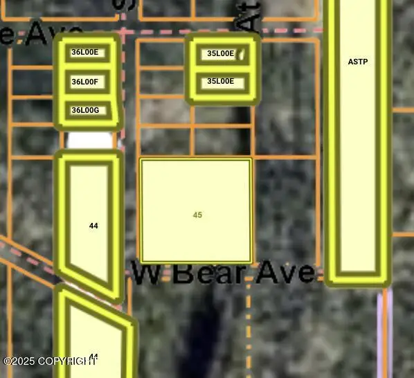 L45 Trail On Point Mackenzie, Wasilla, AK 99623 - Image #3