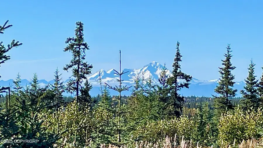 68062 Jolly Avenue, Anchor Point, AK 99556 - Image #2