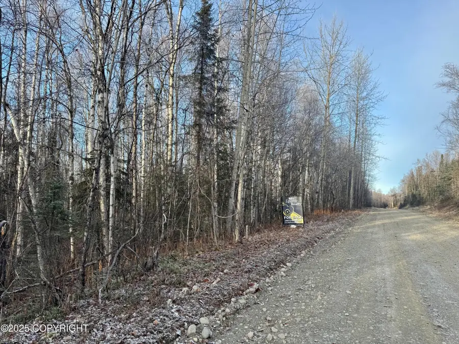 47088 S Shaman Road, Willow, AK 99688 - Image #3