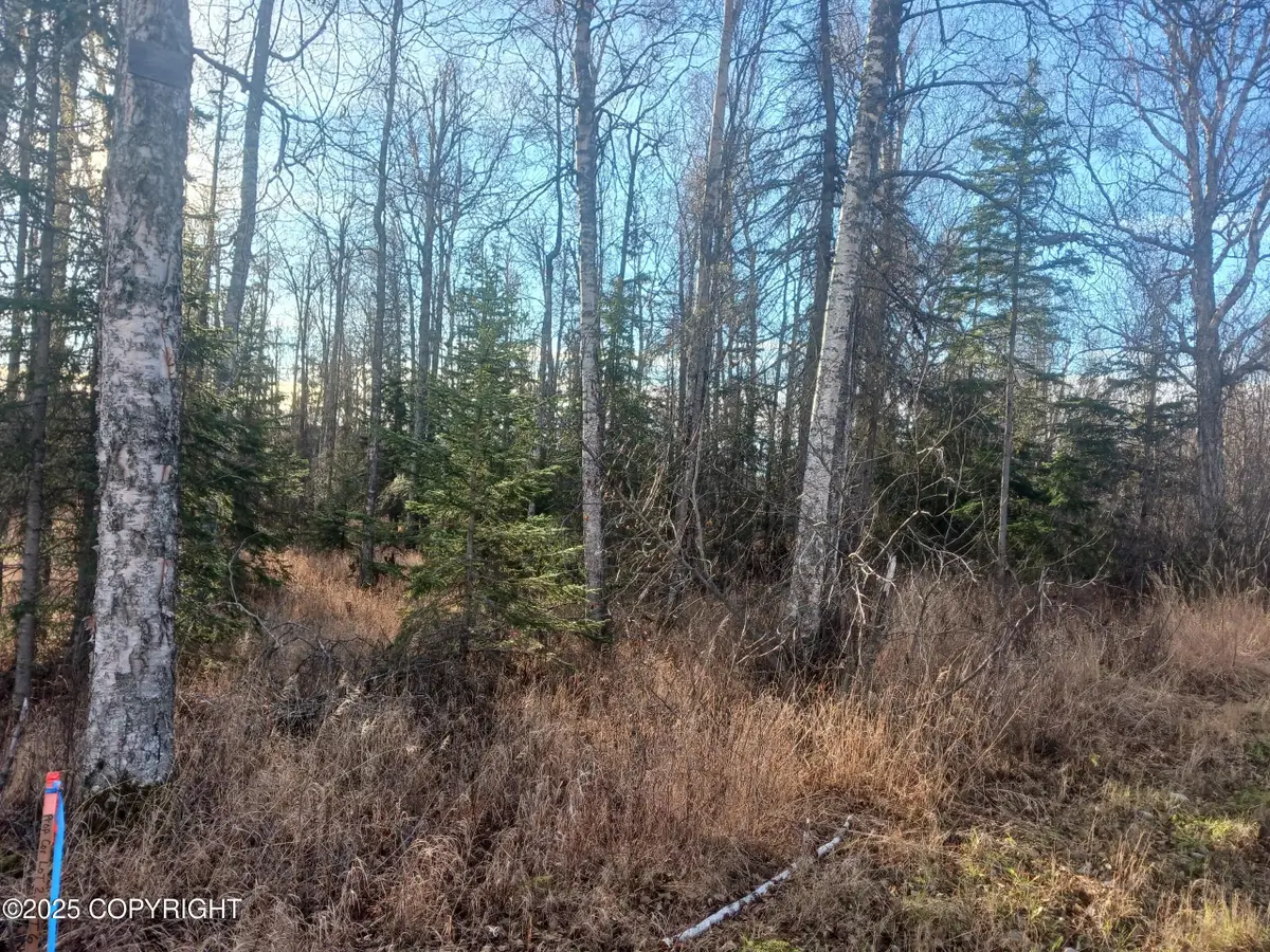 4290 S Gon Fishin Drive, Wasilla, AK 99623 - Image #1