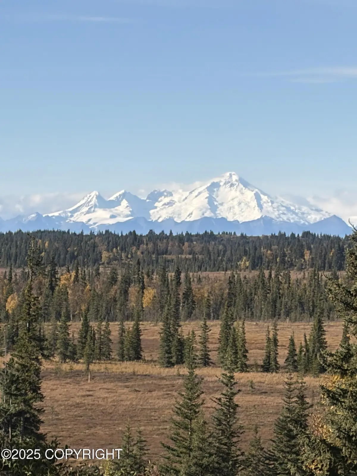 Tract 20 Zeke Street, Ninilchik, AK 99639 - Image #1