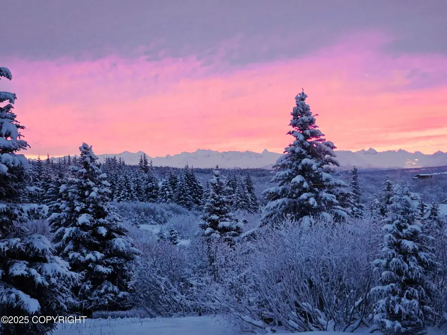 65265 Knob Hill Road, Anchor Point, AK 99556 - Image #3