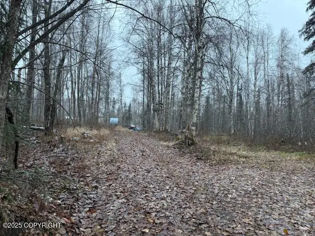49364 S Bendapole Road, Willow, AK 99688 - Image #1